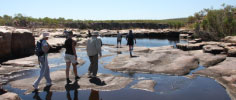 Casuarina Falls