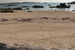 Shell beach