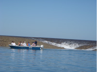 Montgomery Reef excursion